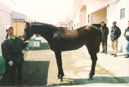 �ż� ����