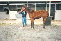 â�� (CHANGDAE) ����