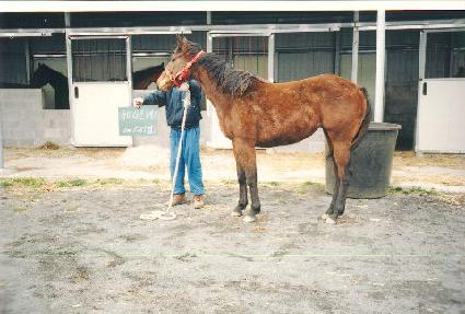 â�� ����