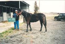 ������ (SAEDONGSAN) ����