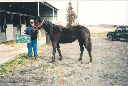 ������ ����