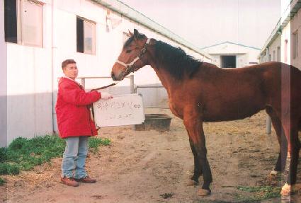 ����������� ����