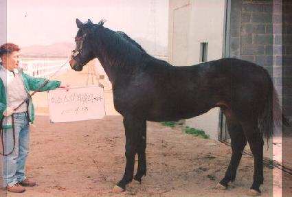 ���� ����