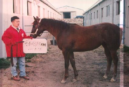 ���� ����