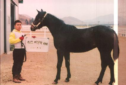 ������� ����