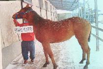 õ������ (CHEONGWANGJIBOK) ����