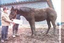 ��Ϲ� (HONEY MOON) ����