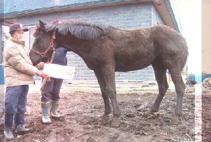 ��Ϲ� ����