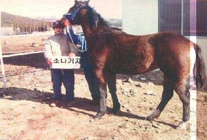 ���ϳ� ����