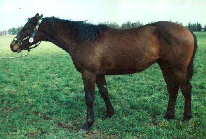 �����̽� ����