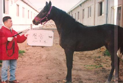 ���� ����