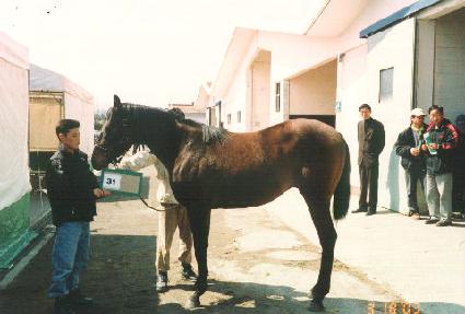 ��õ��� ����