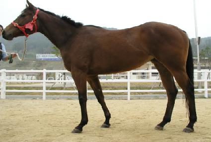 �������� ����