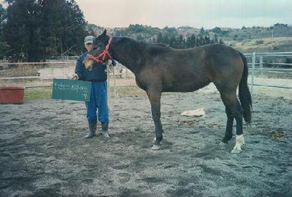 �������� ����