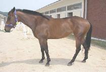 �λ�뺴 (BUSAN YONGBYEONG) ����