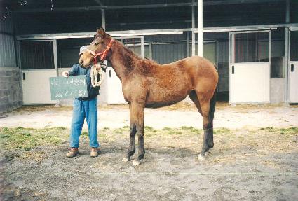 ��õ���� ����