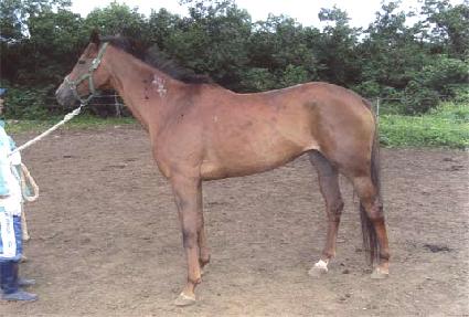 û�� ����