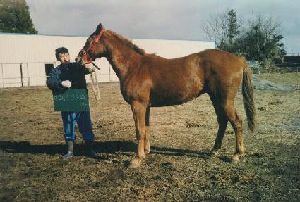 ���� ����