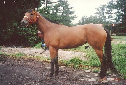 ���� ����