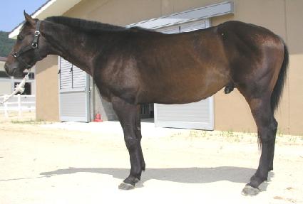 ��������� ����