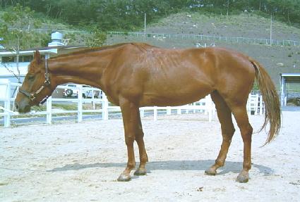 �߿��ڽ� ����