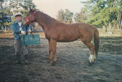 ����ȭ ����