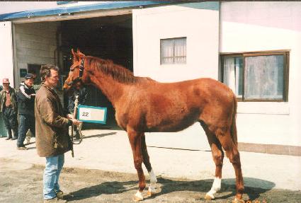 �ƹ� ����