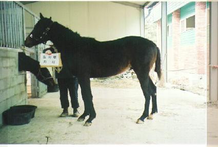 ���߿� ����