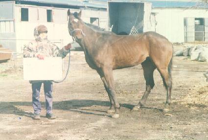 ����������Ʈ ����