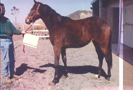 �Ұ˻� ����