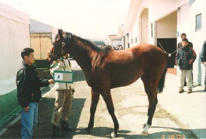 ��ȭ�ǻ�¡ ����