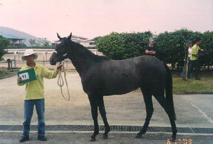 ���Ǹ��� ����