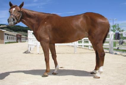 ���ư� ����