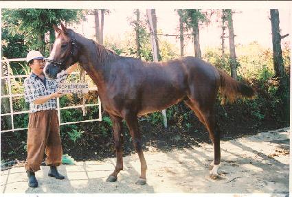 ��ȣ�� ����