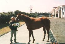 ��Ʋ��Ÿ (ATLANTA) ����