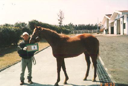 ��Ʋ��Ÿ ����