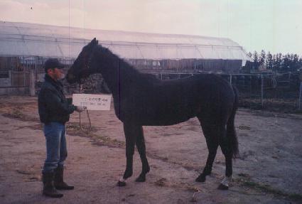 �������� ����