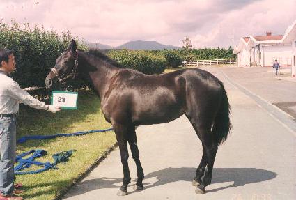 �߽��� ����