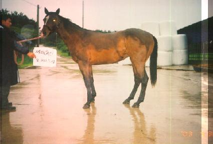 ��� ����