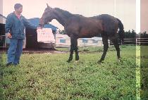 �������� (MURYANGMUBYEON) ����