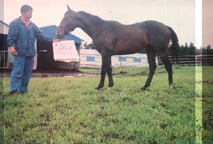 �������� ����