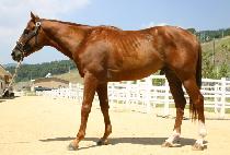 �������� (SEONDO BUJANG) ����