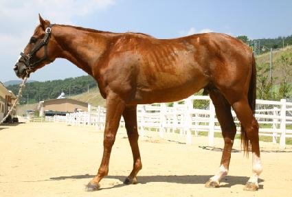 �������� ����