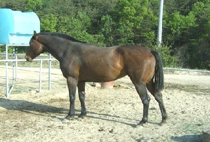 ��Ű ����