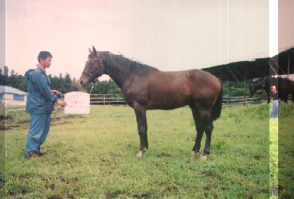 �ܵ����� ����