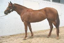 �ݹ�� (GEUMBANGA) ����