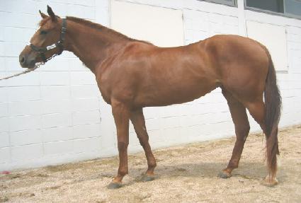 �ݹ�� ����