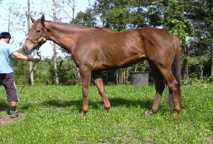 ���̵��Ŀ� ����