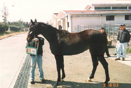 �Ҵ� ����