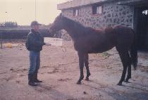 ��Ǫ�� (SOLPUREUN) ����